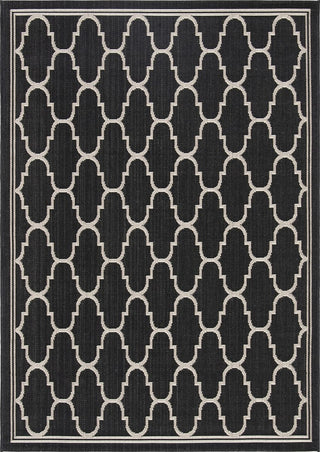 Safavieh Courtyard CY6016-266 Black / Beige Area Rug main image