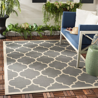 Safavieh Courtyard CY6914-246 Anthracite / Beige Area Rug Room Scene