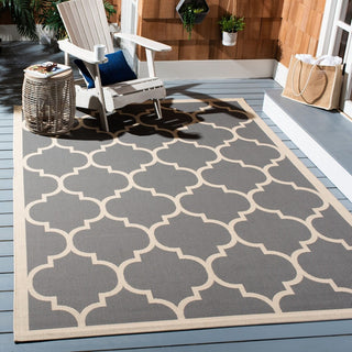 Safavieh Courtyard CY6914-246 Anthracite / Beige Area Rug Room Scene