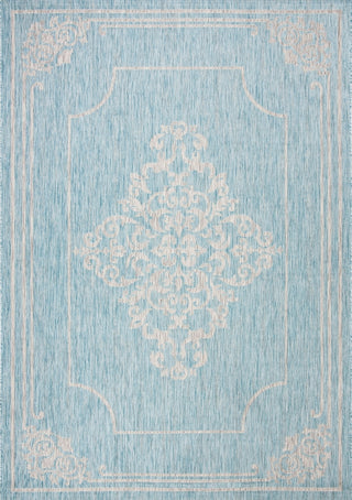 Safavieh Courtyard CY8212-37121 Aqua / Grey Area Rug Main