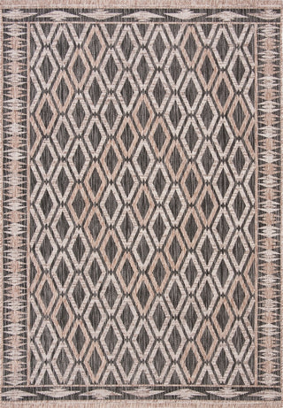 Safavieh Courtyard CY8531-37321 Black / Natural Area Rug main image