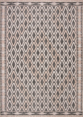 Safavieh Courtyard CY8531-37321 Black / Natural Area Rug Main