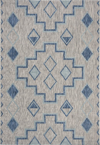 Safavieh Courtyard CY8533-36812 Grey / Aqua Area Rug main image