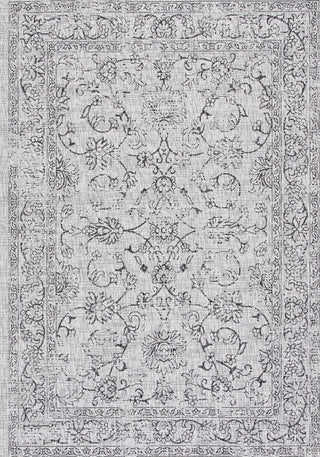 Safavieh Courtyard CY8680-37612 Grey / Black Area Rug main image