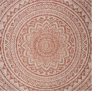 Safavieh Courtyard CY8734-36512 Light Beige / Terracotta Area Rug Square