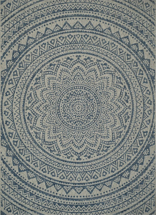 Safavieh Courtyard CY8734-36812 Light Grey / Blue Area Rug Main