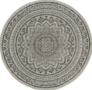 Safavieh Courtyard CY8734-37612 Light Grey / Black Area Rug Round