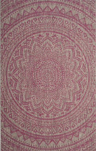 Safavieh Courtyard CY8734-39712 Light Grey / Fuchsia Area Rug Main