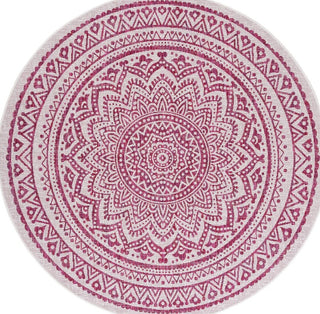 Safavieh Courtyard CY8734-55912 Ivory / Fuchsia Area Rug main image