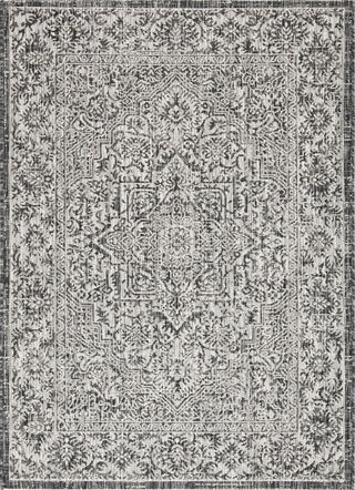 Safavieh Courtyard CY8763-376 Slate / Grey Area Rug main image