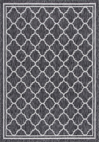 Safavieh Courtyard CY8918-37621 Black Charcoal Area Rug Main