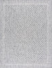 Safavieh Courtyard CY8943-59021 Light Grey / Dark Area Rug 