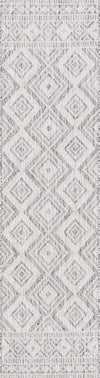 Safavieh Courtyard CY8998-59021 Light Grey / Dark Area Rug Runner