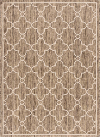 Safavieh Courtyard CYS6756-232 Toast Area Rug 