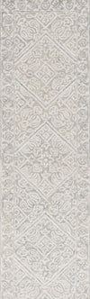 Safavieh Dip Dye DDY151F Grey / Ivory Area Rug Runner