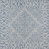 Safavieh Dip Dye DDY151M Blue / Ivory Area Rug Square