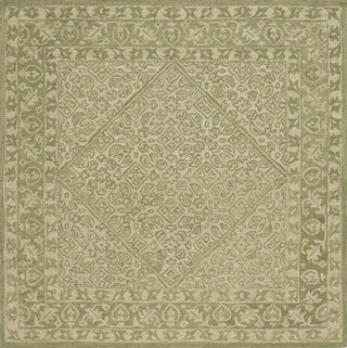 Safavieh Dip Dye DDY151Y Green Area Rug Square