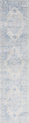 Safavieh Dream DRM401J Grey / Turquoise Area Rug main image