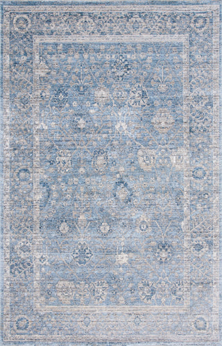 Safavieh Dream DRM408J Grey / Turquoise Area Rug main image