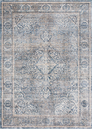 Safavieh Dream DRM492J Grey / Turquoise Area Rug main image