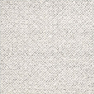 Safavieh Ebony EBN103 Grey / Ivory Area Rug