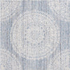 Safavieh Ebony EBN106 Blue / Ivory Area Rug