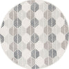 Safavieh Ebony EBN108 Grey / Ivory Area Rug