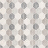 Safavieh Ebony EBN108 Grey / Ivory Area Rug