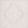 Safavieh Ebony EBN113 Light Grey / Ivory Area Rug