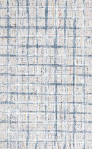 Safavieh Ebony EBN119A Blue / Ivory Area Rug main image