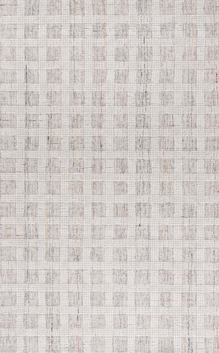 Safavieh Ebony EBN119F Grey / Ivory Area Rug Main