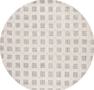 Safavieh Ebony EBN119F Grey / Ivory Area Rug main image