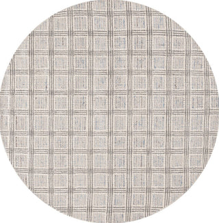 Safavieh Ebony EBN119M Blue / Grey Area Rug main image