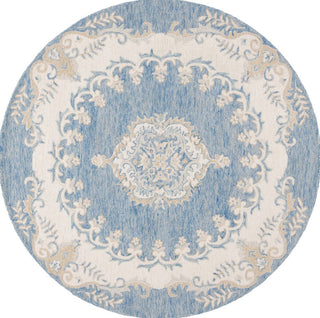 Safavieh Ebony EBN121M Blue / Ivory Area Rug main image