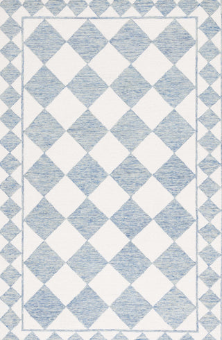 Safavieh Ebony EBN122M Blue / Ivory Area Rug Main