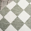 Safavieh Ebony EBN122W Sage / Ivory Area Rug Detail