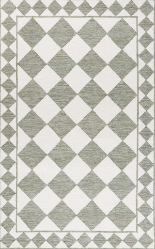 Safavieh Ebony EBN122W Sage / Ivory Area Rug Main