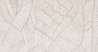 Safavieh Ebony EBN123B Beige / Ivory Area Rug main image