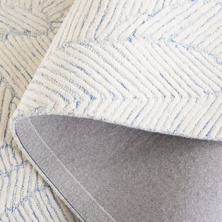 Safavieh Ebony EBN123M Blue / Ivory Area Rug Fold