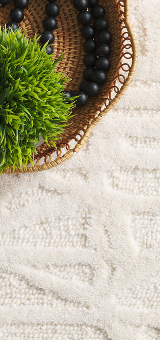 Safavieh Ebony EBN124A Ivory Area Rug Detail