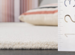 Safavieh Ebony EBN125A Ivory Area Rug Detail