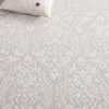 Safavieh Ebony EBN127G Light Grey / Ivory Area Rug Detail
