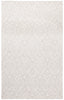 Safavieh Ebony EBN127G Light Grey / Ivory Area Rug Main