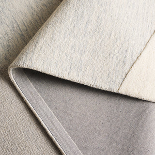 Safavieh Ebony EBN129G Light Grey / Ivory Area Rug Fold