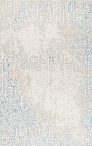 Safavieh Ebony EBN130M Blue / Ivory Area Rug main image