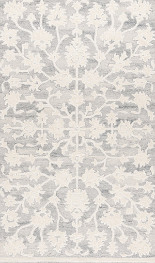 Safavieh Ebony EBN134G Silver / Ivory Area Rug Main