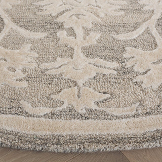 Safavieh Ebony EBN134G Silver / Ivory Area Rug Detail