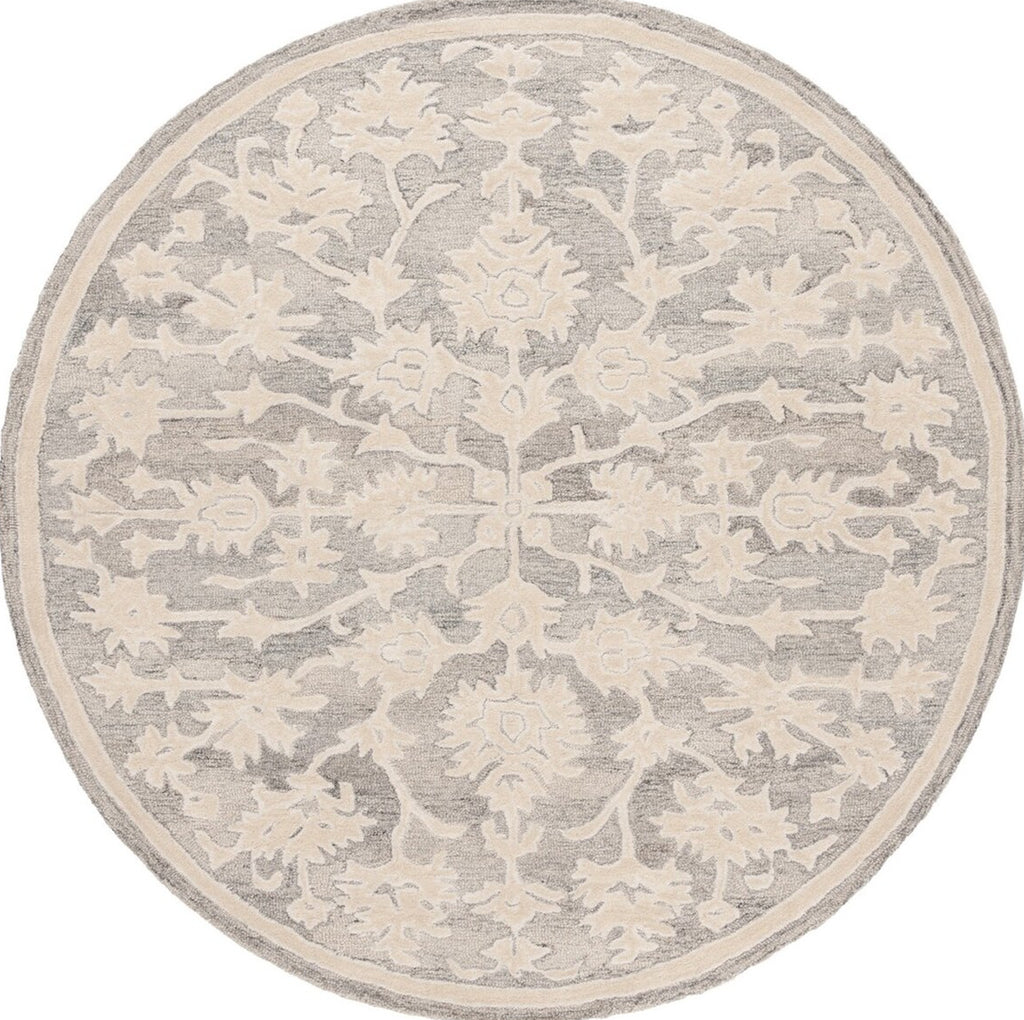 Safavieh Ebony EBN134G Silver / Ivory Area Rug main image
