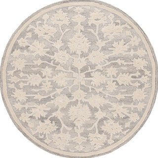 Safavieh Ebony EBN134G Silver / Ivory Area Rug main image