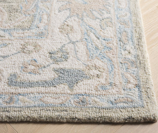 Safavieh Ebony EBN136G Light Grey / Ivory Area Rug Detail